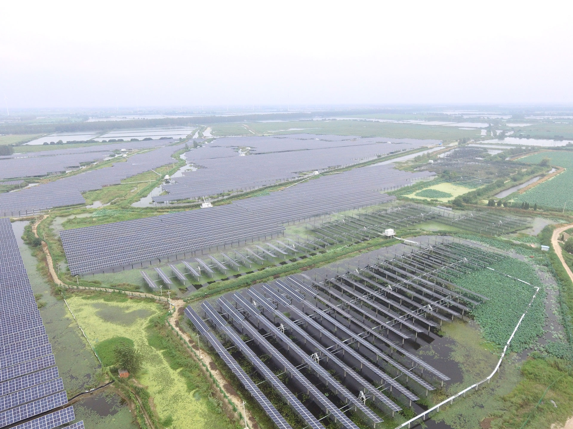AG尊时凯龙科技江苏扬州宝应光伏发电应用领跑基地2号100兆瓦项目